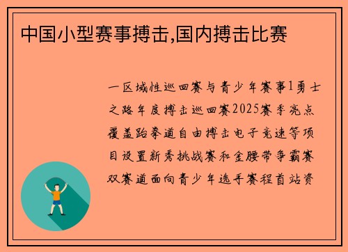中国小型赛事搏击,国内搏击比赛